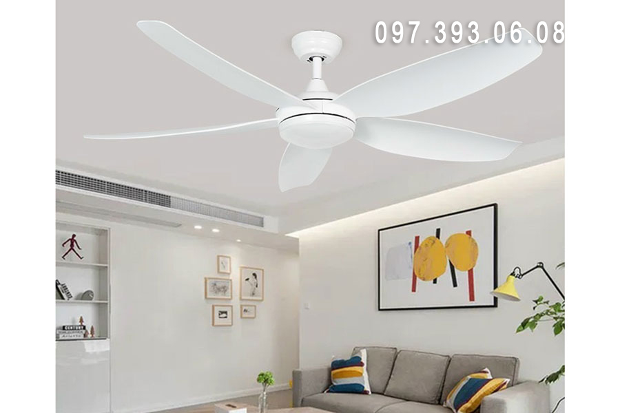 quat tran 4 quat tran 4