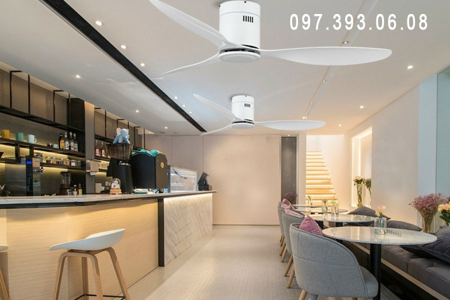 quat tran 5 quat tran 5