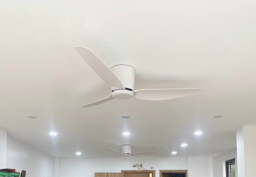 z1722480155265_000_26e416f89b33b4cdc4c2d56e9d0b6261